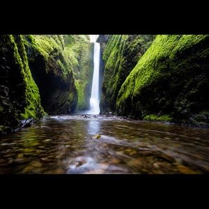 Meet your Posher, Samuel